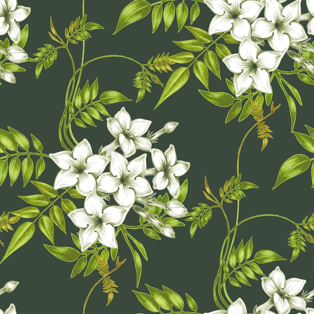 Vector seamless floral pattern with jasmine flowers. Premium Vector