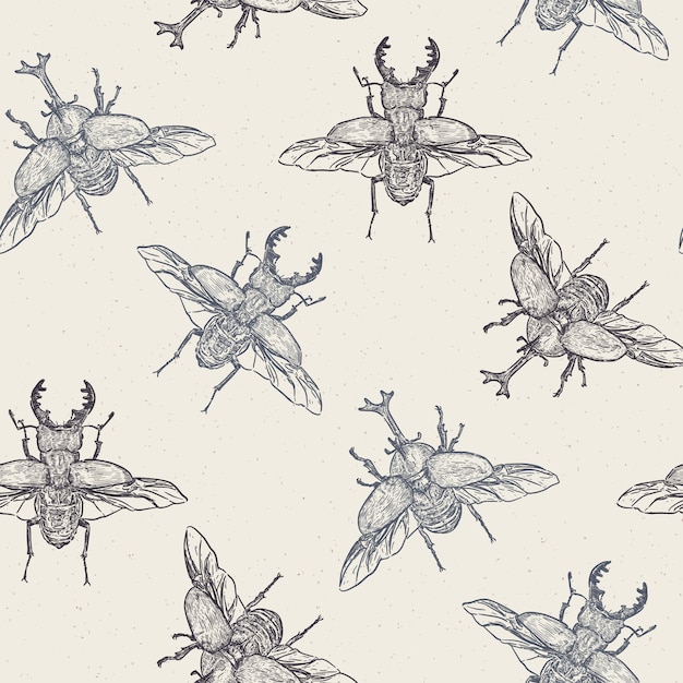 Vector seamless pattern with hand drawn beetles made in retro style. beautiful ink drawing - vector Premium Vector