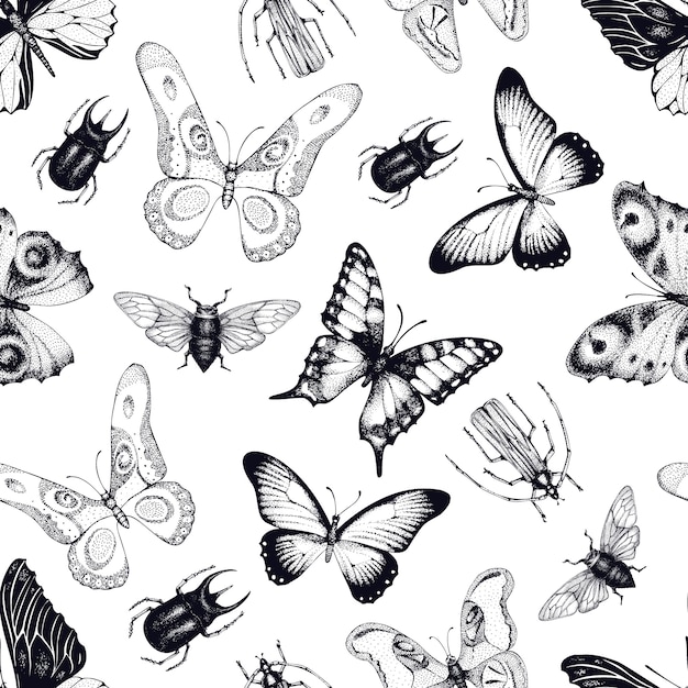 Vector seamless pattern with insects and butterflies. entomological background. hand drawn vintage illustration. Premium Vector