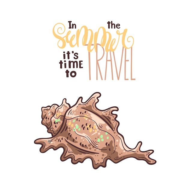 Vector seashells sketches. lettering: in the summer it is time to travel. Premium Vector