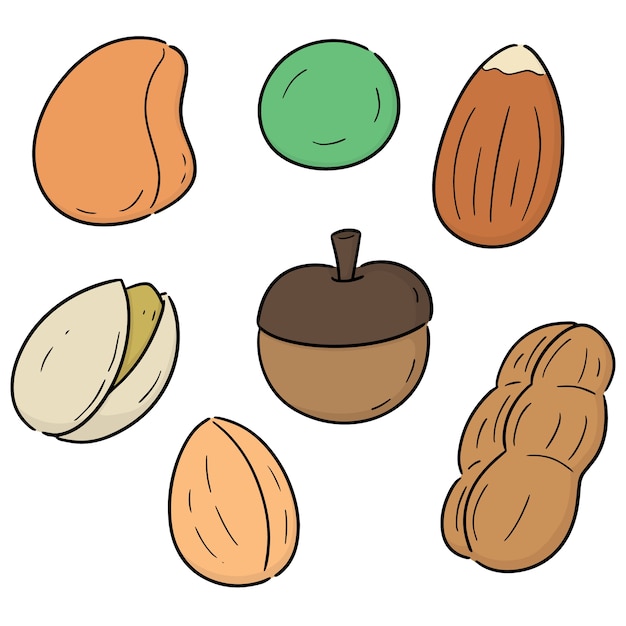 Premium Vector | Vector set of beans