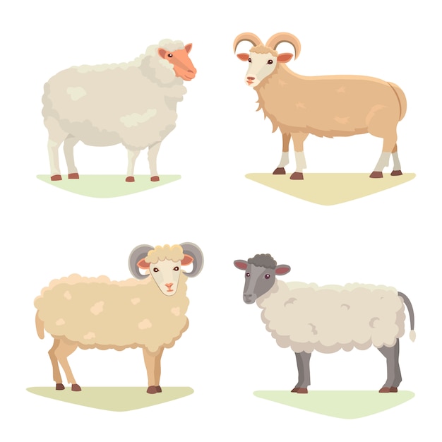 ベクトルはかわいい羊とramを分離したレトロなイラストを設定します 白地に立っている羊のシルエット ファームファニーミルクの若い動物 漫画のスタイル プレミアムベクター
