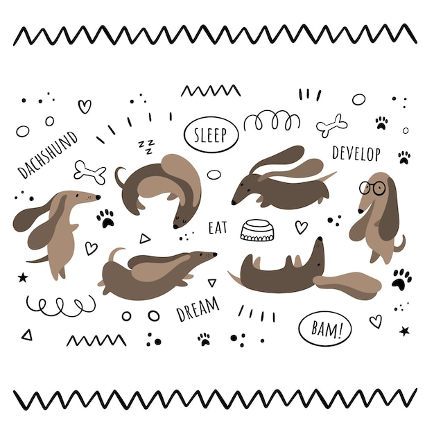 Vector set of isolates by dachshunds. сartoon, doodle styles Premium Vector