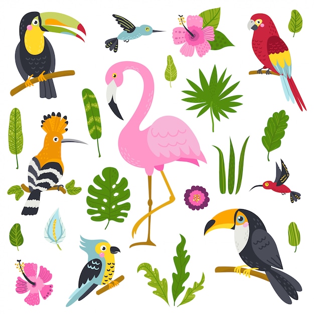 ジャングルからかわいい鳥のベクトルを設定 プレミアムベクター