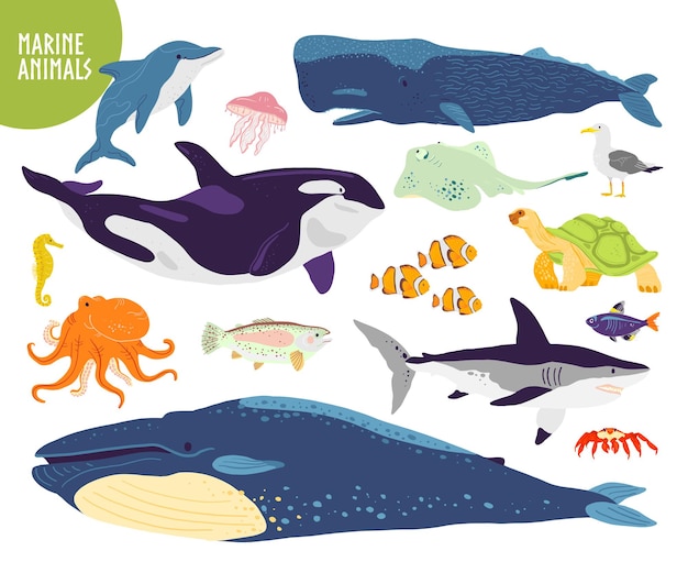 フラット手描きかわいい海洋動物クジライルカ魚サメクラゲのベクトルセット プレミアムベクター