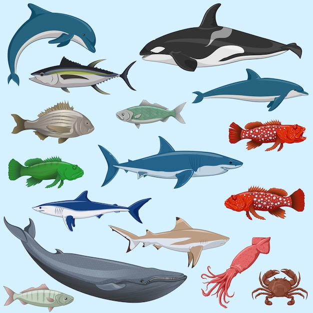 Premium Vector | Vector set of sea animals