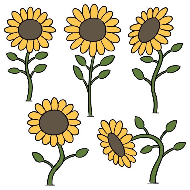 Download Vector set of sunflower | Premium Vector
