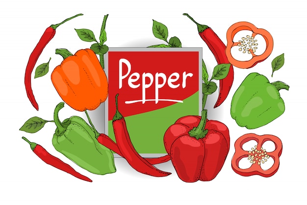 Vector set with red, green, orange pepper. isolated fresh pepper, paprika, chilli with stems, leaves, seeds, whole and sliced. summer harvest. Premium Vector