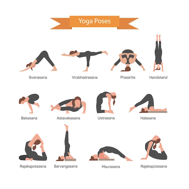 Premium Vector | Vector set of yoga poses isolated. human body ...