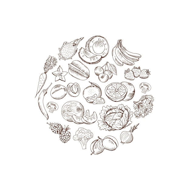 Vector sketched hand drawn vegetables and fruits illustration in rounded shape form isolated on white background Premium Vector