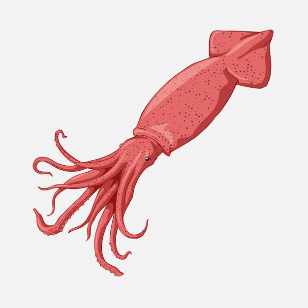 Free Free 64 Squid Svg Free SVG PNG EPS DXF File