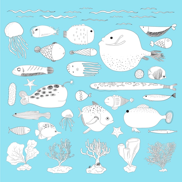 Vector of underwater creatures | Free Vector