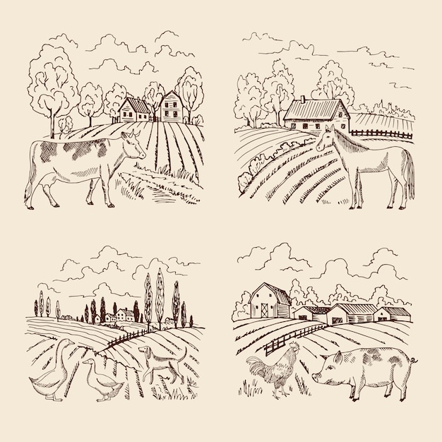 ベクトルの村と大きな畑 農業や動物のいる風景レトロのイラストのセット プレミアムベクター