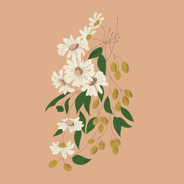 ベクトル白い花とオリーブ植物画イラストグラフィックリソース プレミアムベクター