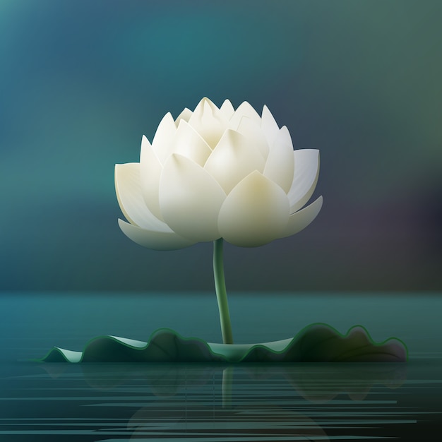 Free Vector | Vector white lotus flower pad in pond isolated on blur background
