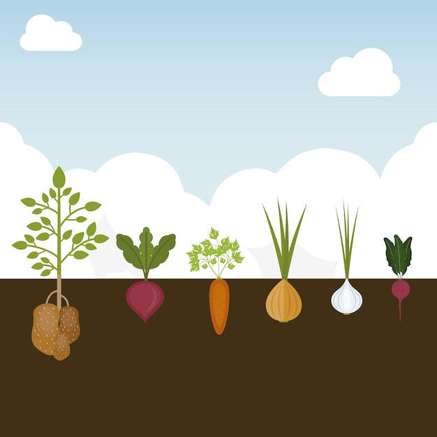 Free Vector | Vegetable growing background