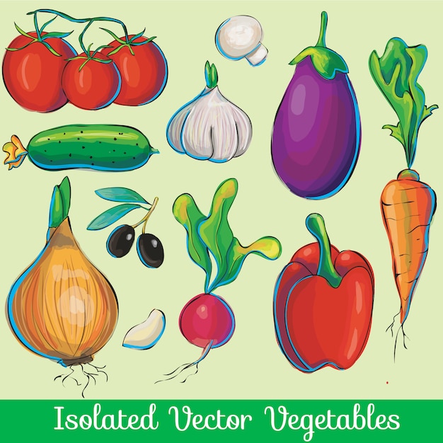 Vegetable vector collection