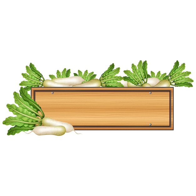 Download Vegetables box design Vector | Free Download