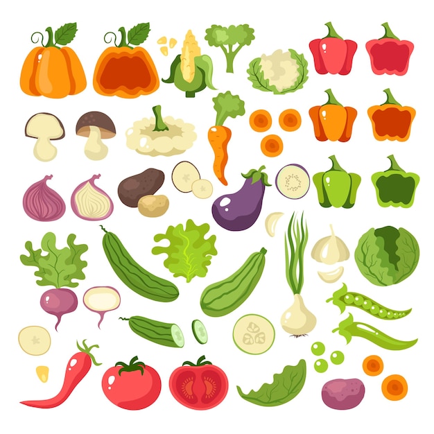 Premium Vector | Vegetables food slice icon set collection concept ...