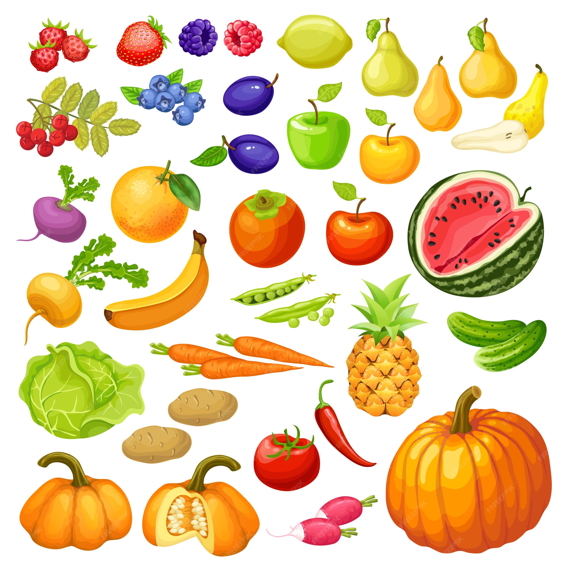Premium Vector | Vegetables and fruits.