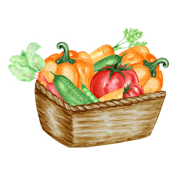 枝編み細工品バスケットの野菜 様式化された色のイラスト キュウリ コショウ トマト ニンジン プレミアムベクター