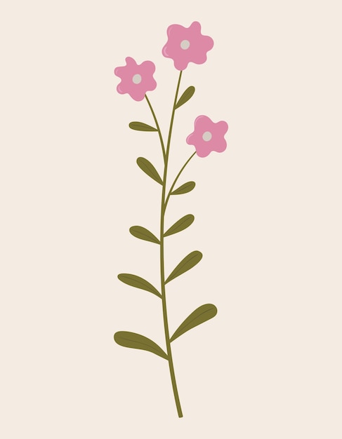 Premium Vector | Vintage botanical vector illustration of wild pink ...