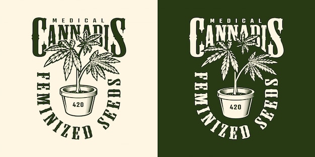 Download Free Cannabis Leaf Images Free Vectors Stock Photos Psd Use our free logo maker to create a logo and build your brand. Put your logo on business cards, promotional products, or your website for brand visibility.