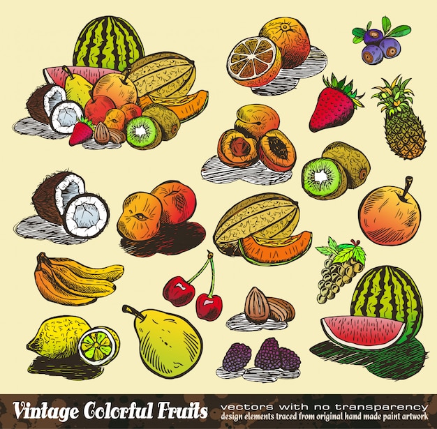 Premium Vector | Vintage colorful fruits collection