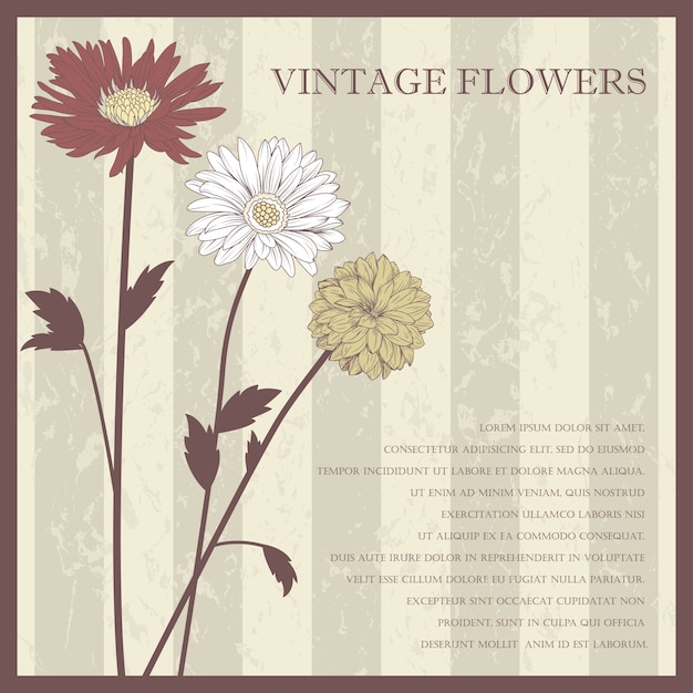 パステルカラーのヴィンテージエレガントな花のポストカード イラスト プレミアムベクター