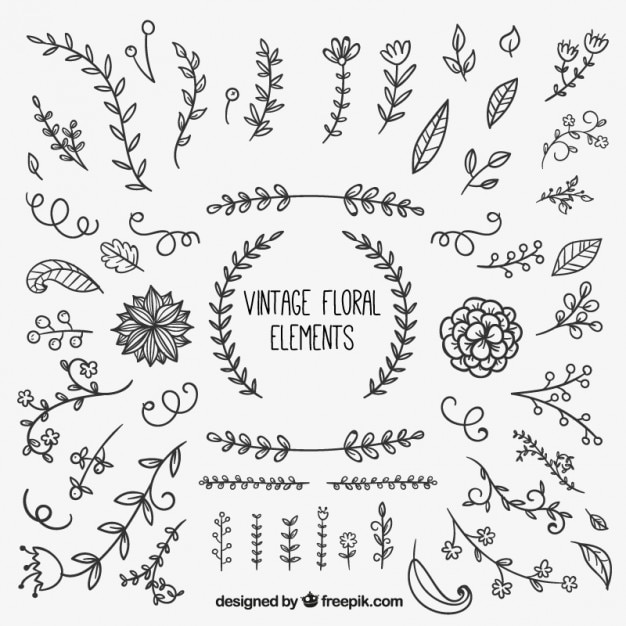 Download Vintage floral elements | Free Vector