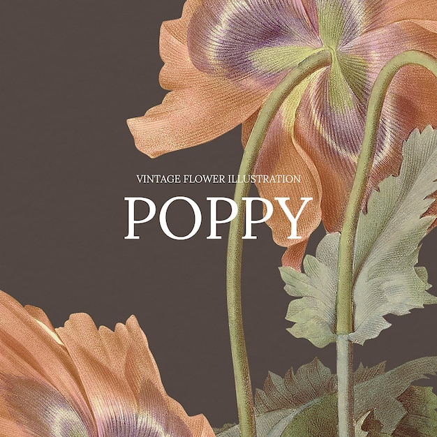 Free Vector | Vintage floral template with poppy background, remixed ...