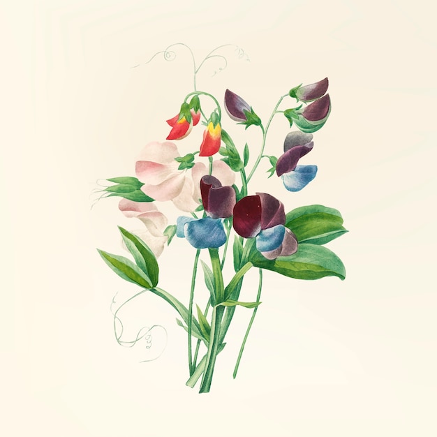 Download Vintage flower illustration | Free Vector