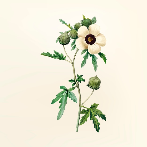 Vintage flower illustration