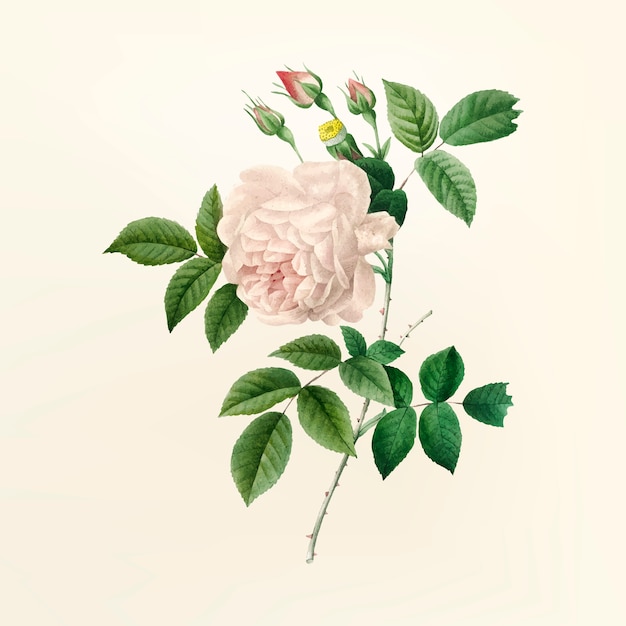 Download Free Vintage Flower Illustration Free Vector Use our free logo maker to create a logo and build your brand. Put your logo on business cards, promotional products, or your website for brand visibility.