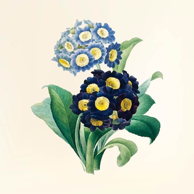 Download Vintage flower illustration | Free Vector