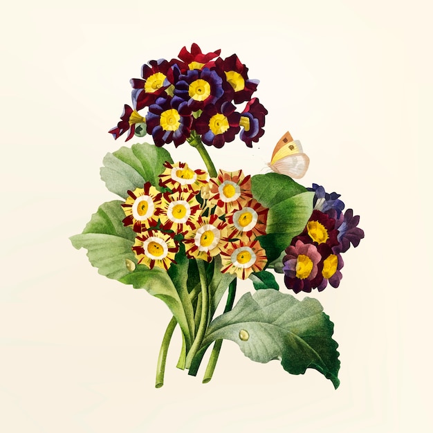 Free Svg Vintage Floral - 576+ SVG Images File - SVG Files for Cricut