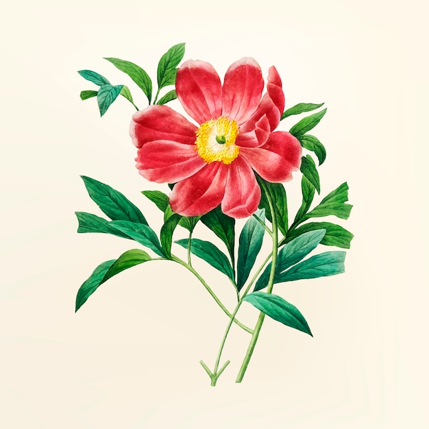 Download Free Vector | Vintage flower illustration