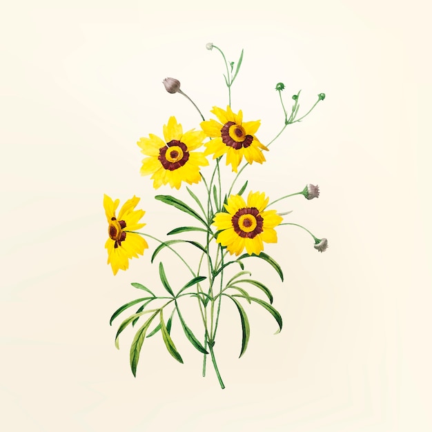 Download Vintage flower illustration | Free Vector