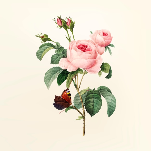 Free Vector Vintage Flower Illustration