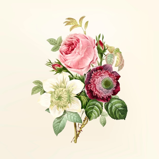 Free Vector Vintage Flower Illustration