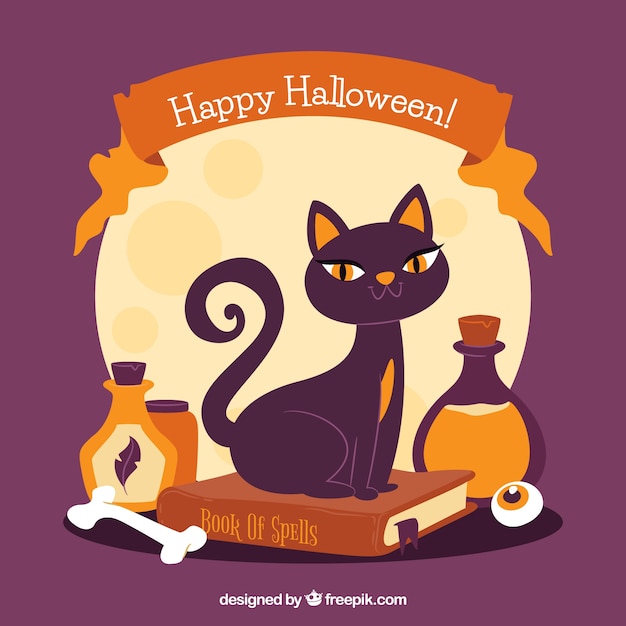 Vintage halloween background with black cat and
potions