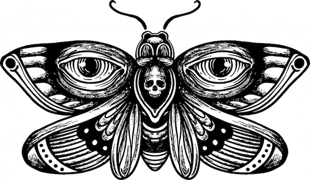 ヴィンテージ手描き下ろし頭蓋骨蛾図面イラスト プレミアムベクター