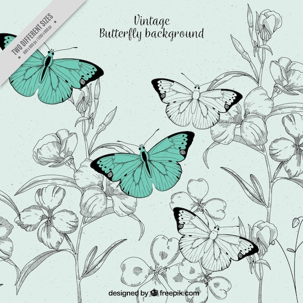 蝶と花のヴィンテージのイラスト背景 プレミアムベクター