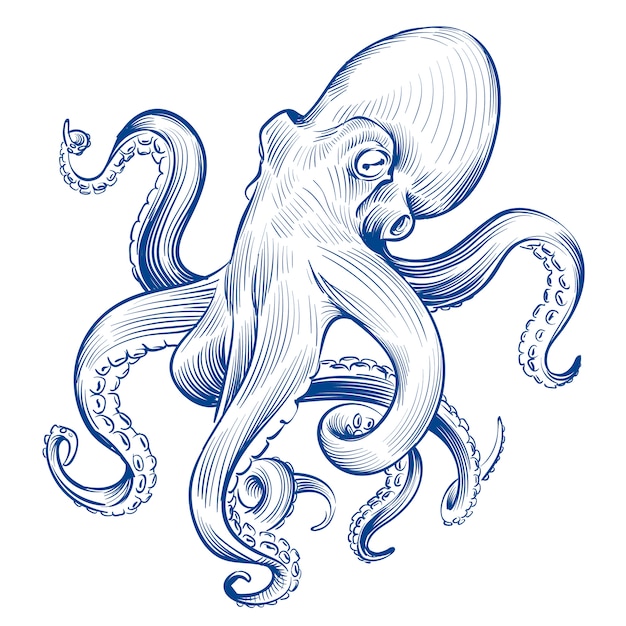 Vintage octopus. hand drawn squid engraved ocean animal. etching ...