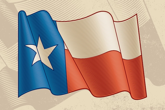 Download Vintage texas flag Vector | Premium Download