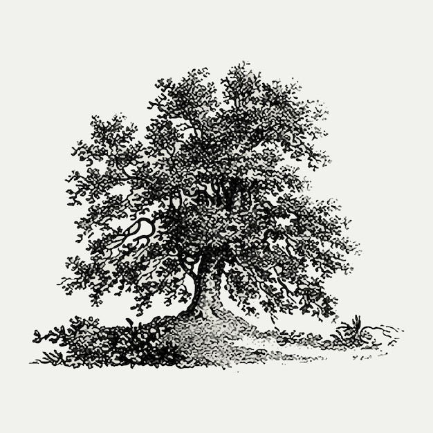 Free Vector Vintage Tree Illustration