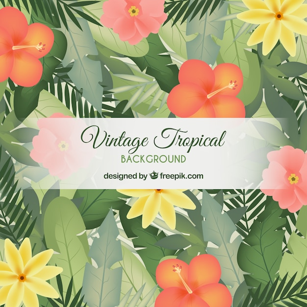 Vintage tropical leaves background