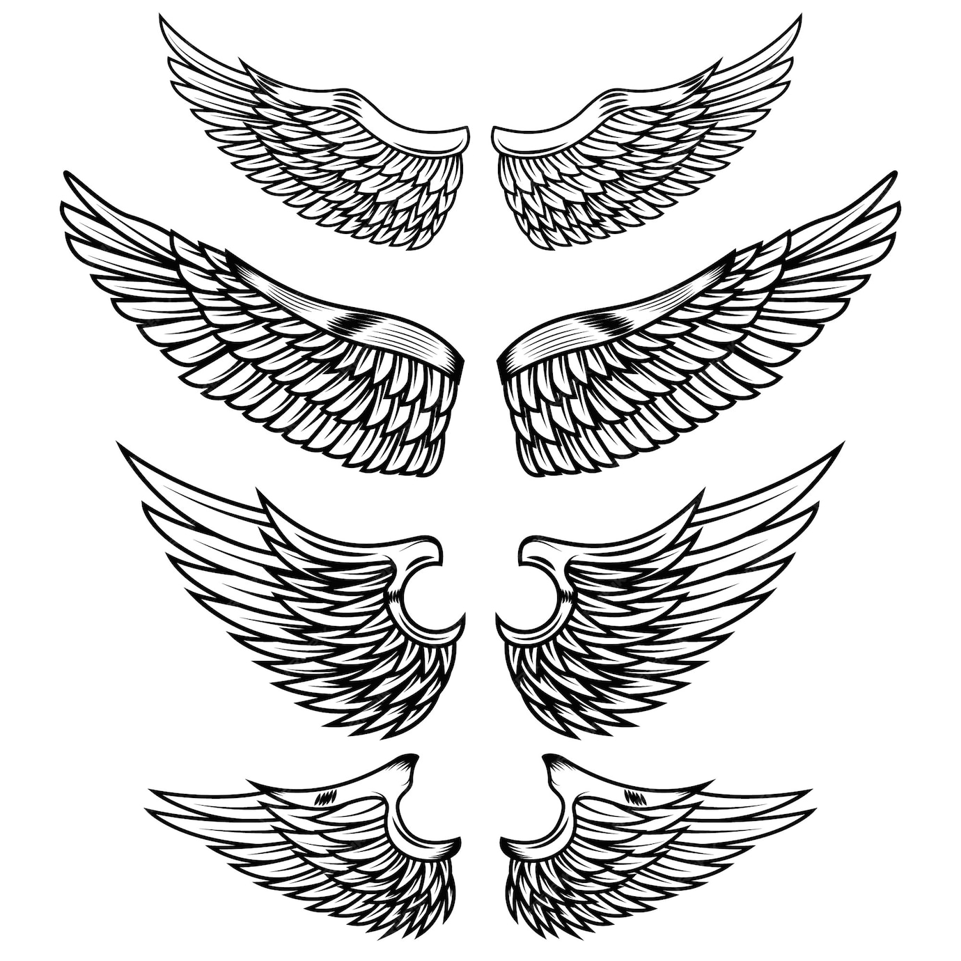 Premium Vector | Vintage wings on white background. elements for logo ...