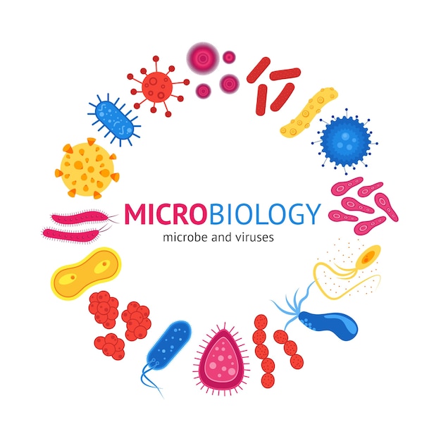 Premium Vector | Virus and bacteria card. concept of microbiology.
