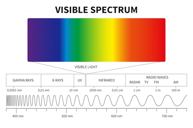 Visible light diagram. color electromagnetic spectrum, light wave ...